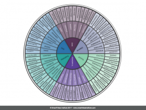 Figure 3.2 Emotion Wheel w footer