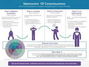 STI Maneuvers of Consciousness